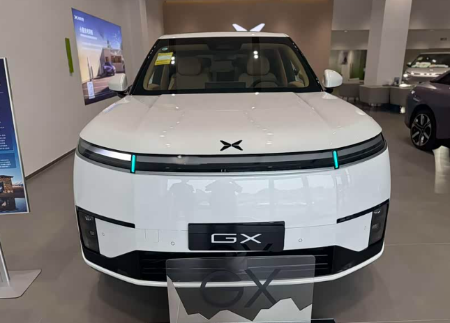 理想L8老车主深度体验小鹏GX这样评价，怎样选择才不后悔？兄弟们，最近小鹏GX