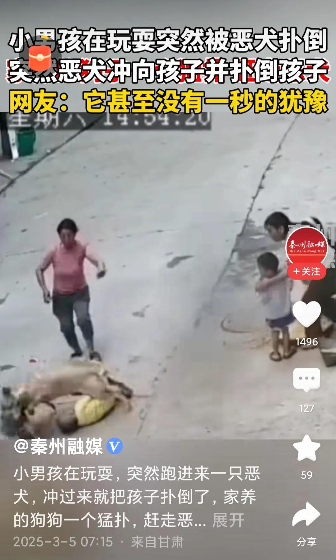 旺财从今天起正式进入家谱！小主人遭到恶犬偷袭，家犬大黄狗没有一秒犹豫，直接快准狠