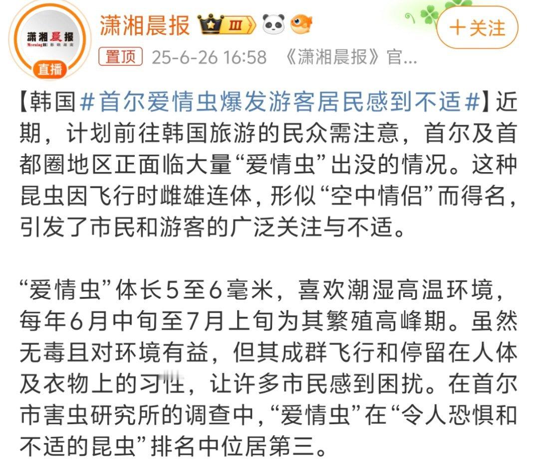 韩国首尔爱情虫爆发韩国不是喜欢偷东西嘛，这个就全送给他们了，起个这么诗意的名字，