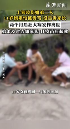 湖南，11岁姐姐和弟弟被同一只土狗咬伤。弟弟第一时间告诉奶奶，当天接种疫苗，平安