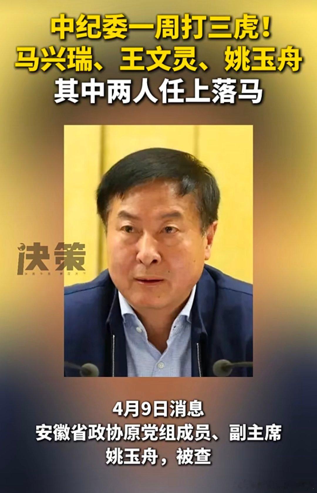 中纪委一周打3虎！(来源:决策杂志)