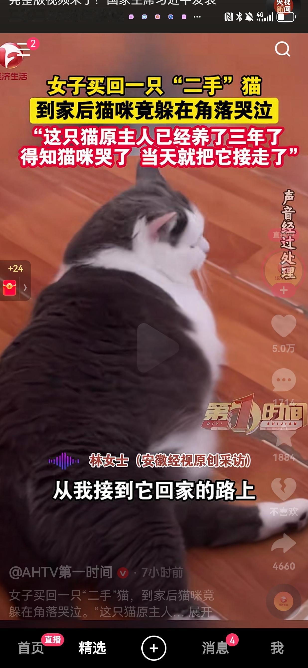 女子买了一只“二手”猫回家，一路上小家伙不哭不闹，很是安静没想到的是，等到猫咪到