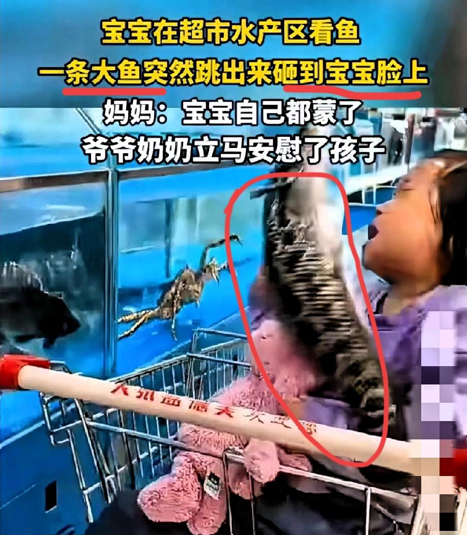 这突如其来的意外，把所有人都吓懵了！这条鱼是缘分，必须买回家。爷爷奶奶带