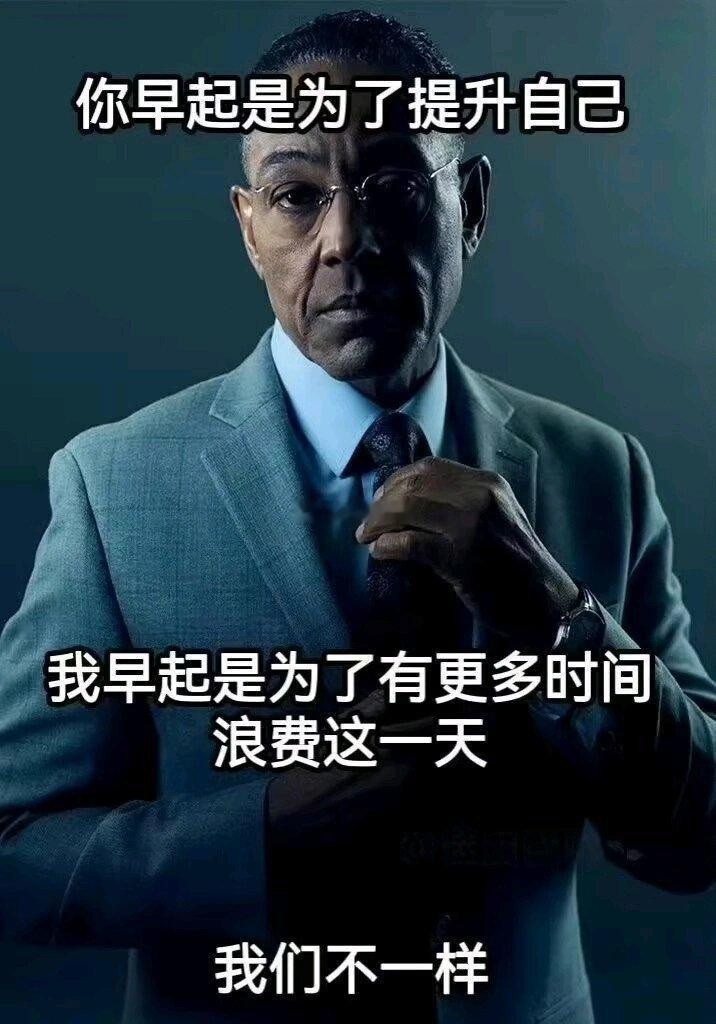 我早起是为了有更多时间浪费这一天