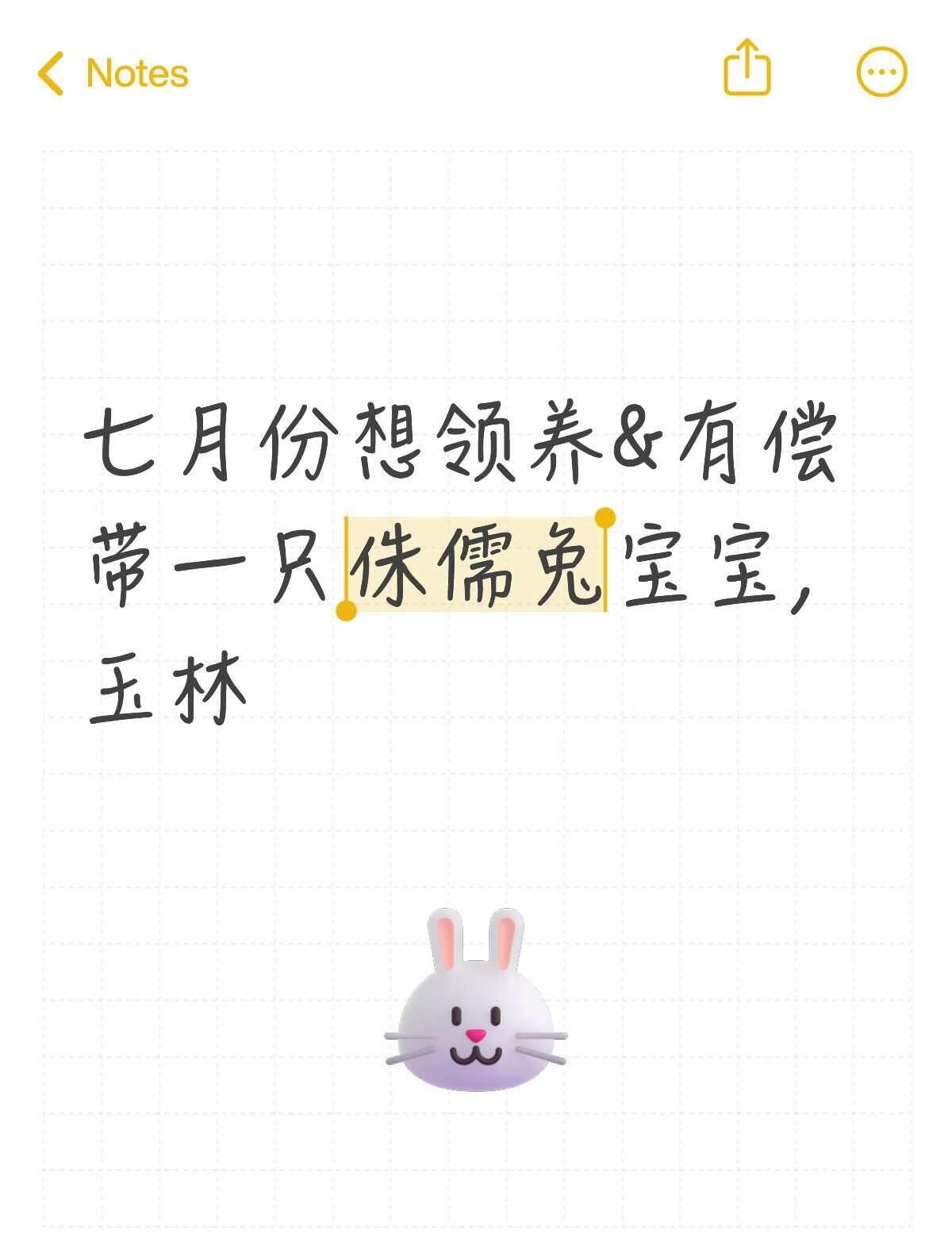 七月份想领养&有偿带一只侏儒兔宝宝，玉林玉林有哪个地方可以买到兔兔呢？或者个人
