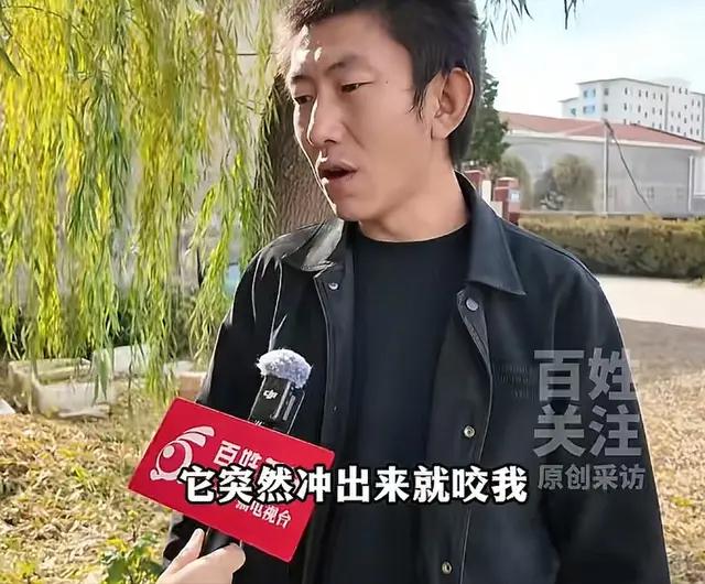 最近，“一条狗引发的命案”成为网络最大的公共事件，热度持续升高。我也有几点看法：