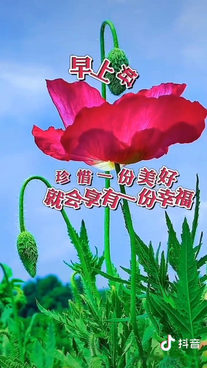 早上好。没有不老的人生，只有不老的心态。人到老了气质战胜了颜值，微笑温柔了岁月