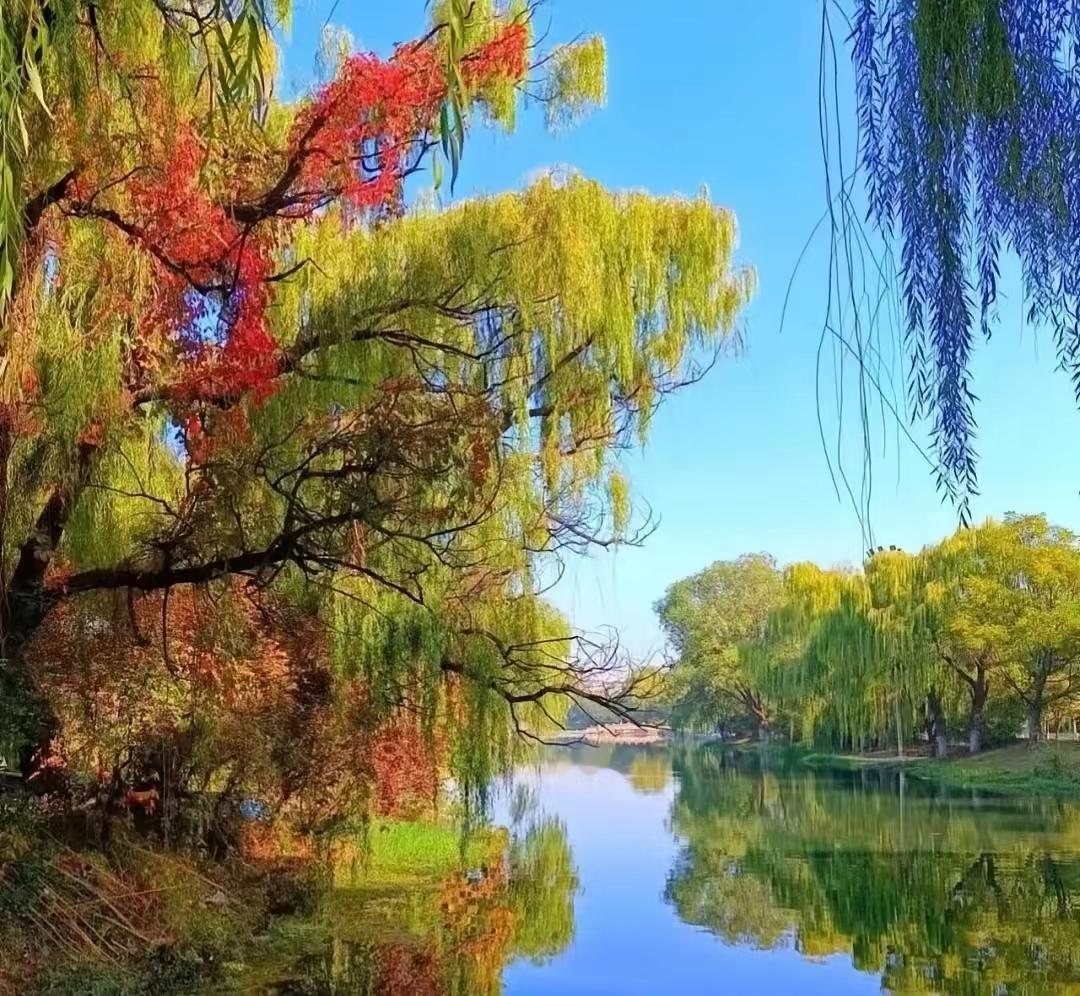 微小说‖等爱的滋味在小镇的尽头，有一座小小的咖啡馆，名叫“时光之隅”。咖