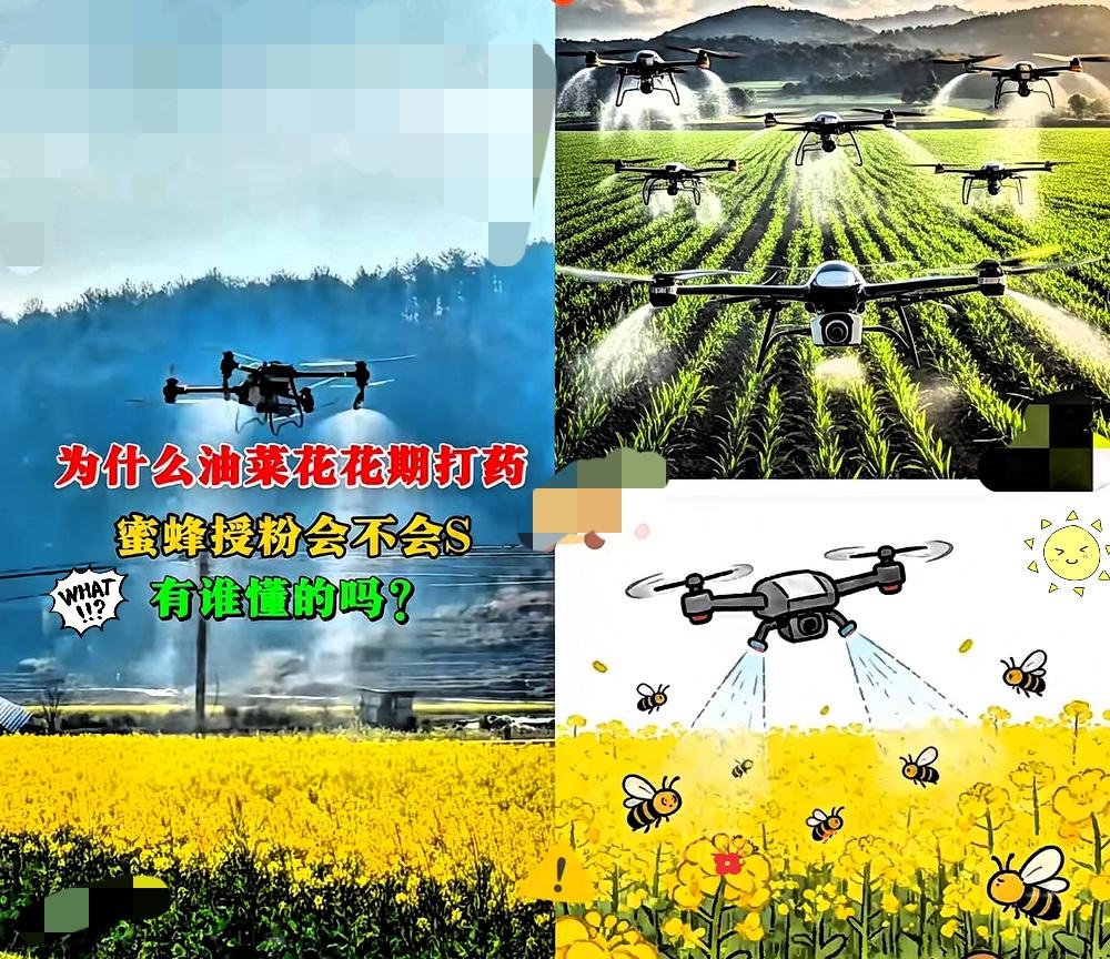 太气人！花期乱喷农药毒死蜜蜂，这次必须严查到底！真的越看越生气！官方终
