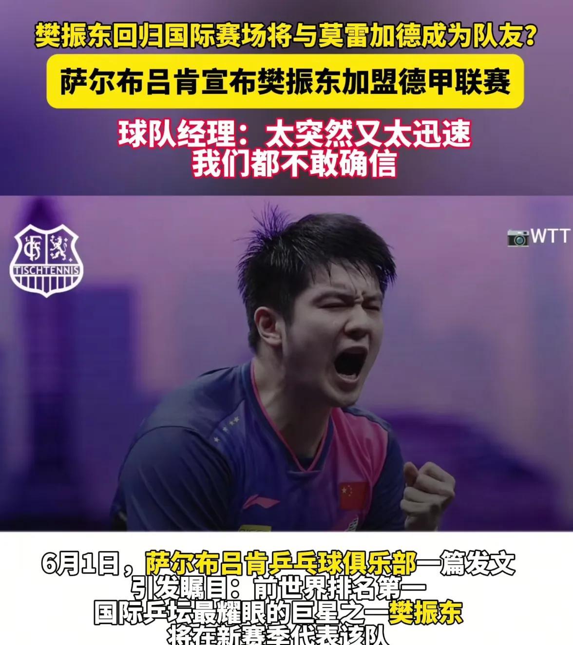 真相大白终于知道樊振东为啥加盟德甲了德甲萨尔布吕肯俱乐部给樊振东的基础年薪为