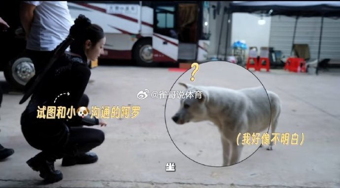 迪丽热巴私下逗狗热巴真的好有爱心，竟然也不怕狗​​​