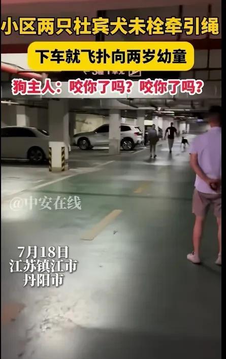 江苏镇江，小区两只杜宾犬没有拴狗绳，在地下车库刚一下车就直接飞扑向两岁的幼童，狗