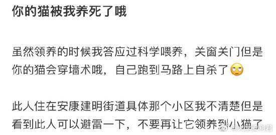 你的猫被我养死了哦​​​