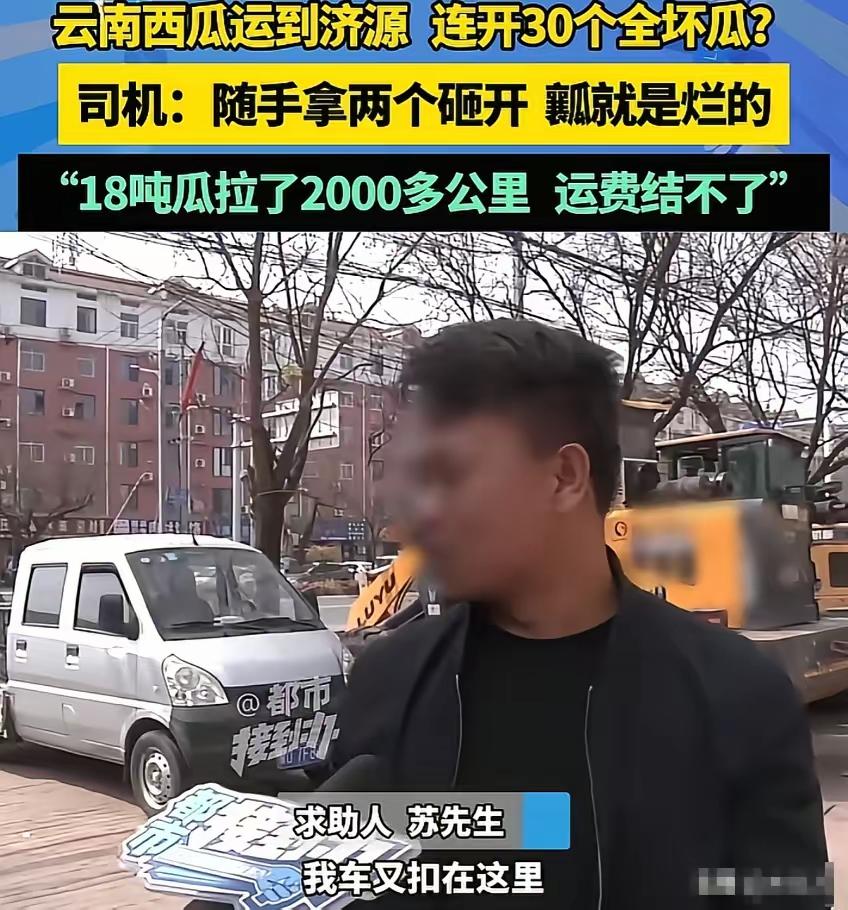 18吨西瓜外表完好里面全烂！司机白跑两千公里，发货方：你拉走顶运费“猪都不吃