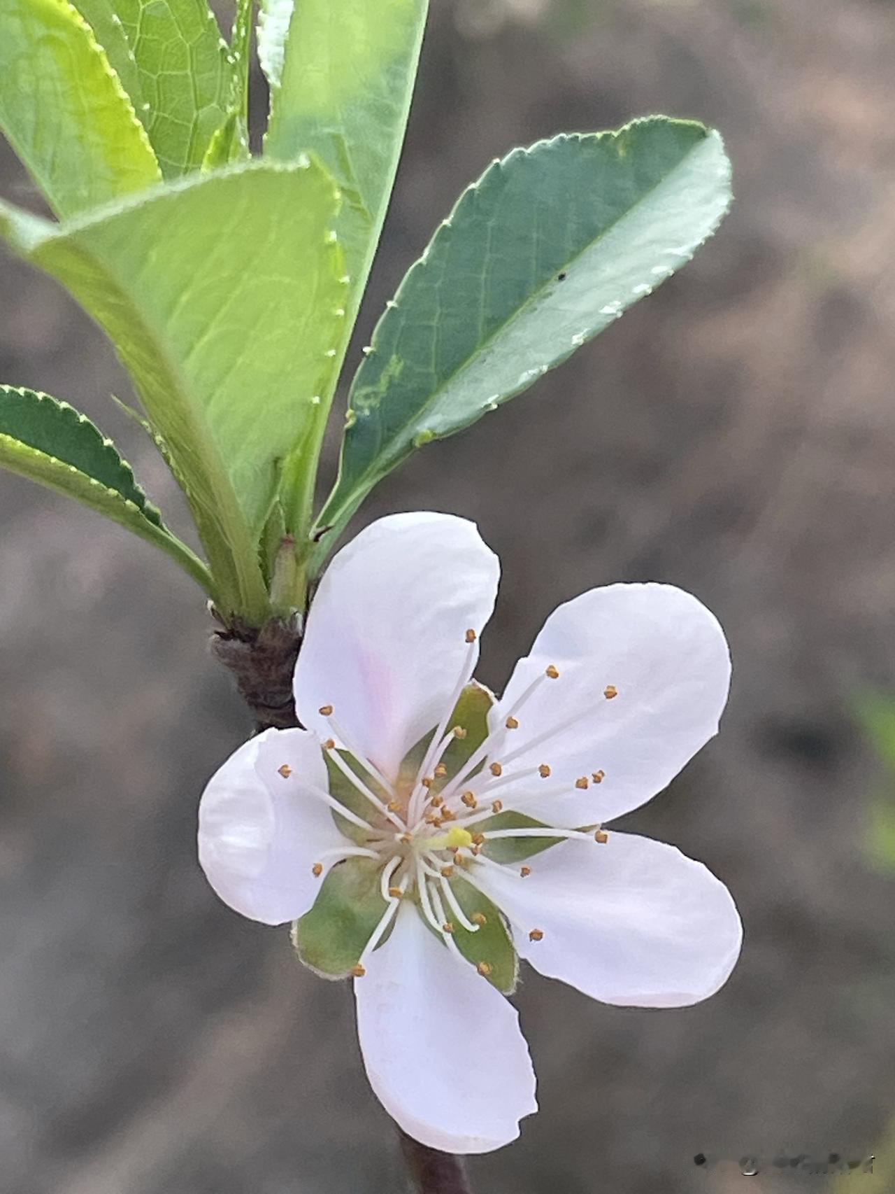 女人一定要明白，结婚不能让自己掉入深渊。一女子，29岁，和男朋友谈了半年多，马上