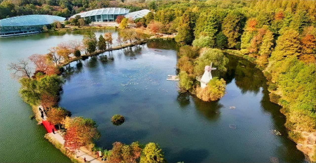 南京的天气终于晴了，又可以赶着去欣赏秋日限定版美景了，这几天最美的要数南京植物园