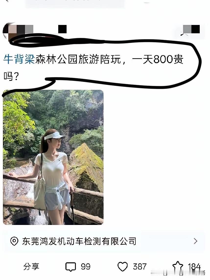 不懂就问，这又是什么新赛道！