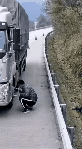 路基下的豹子已悄悄地锁定了修车师傅的颈部，只需一个纵跃便可以完美地展开猎杀。人