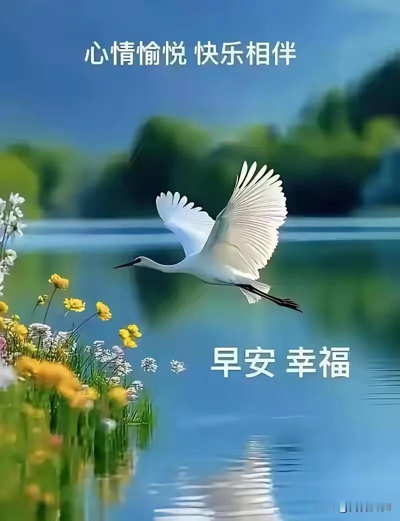 愿清晨的微光，驱散所有疲惫，三餐安稳，身心舒朗，每一天都收获小欢喜。