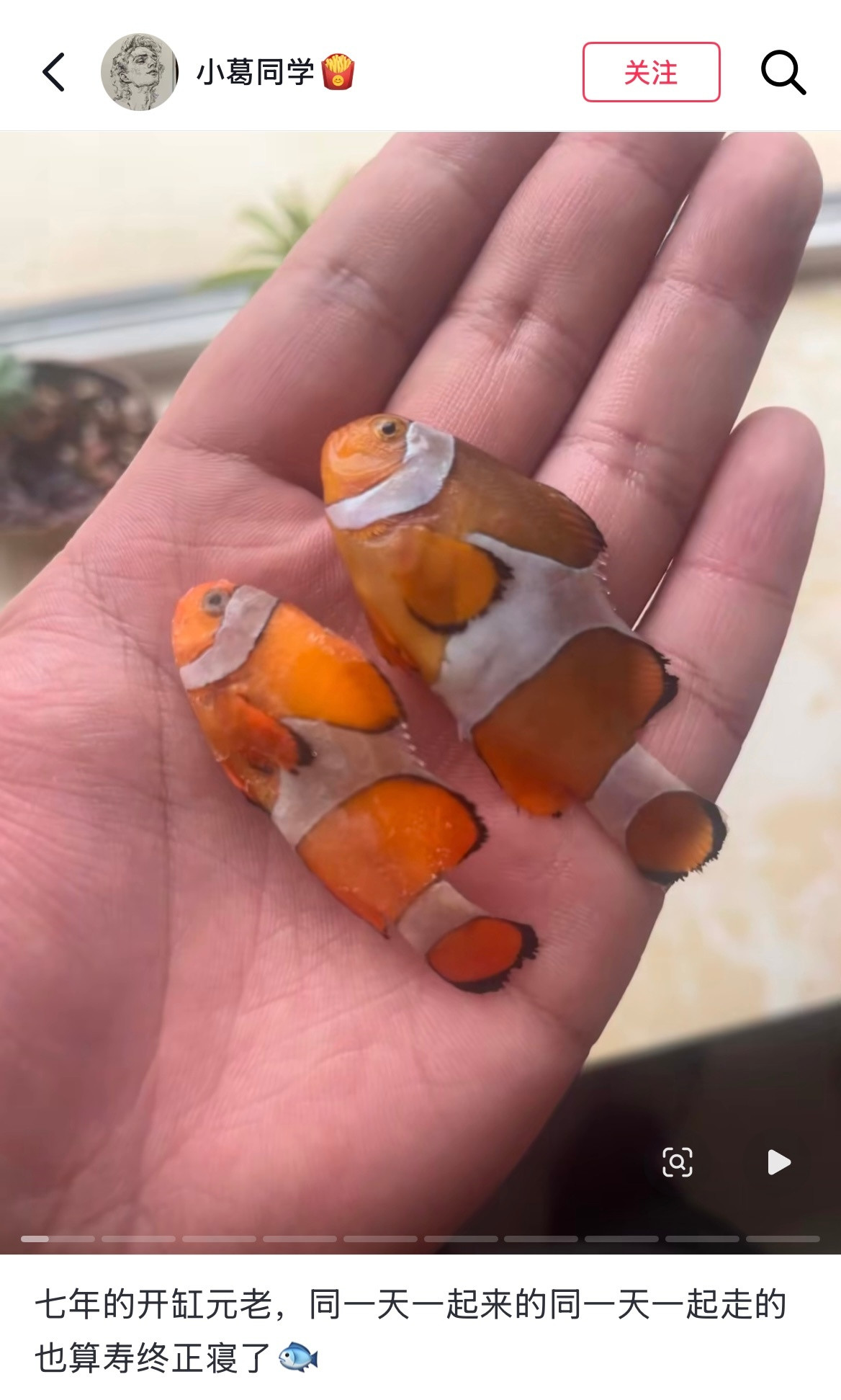 那么这七年它记住了三千多万个不同的你🥹