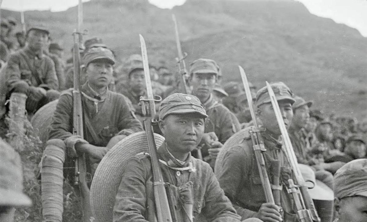 1940年7月，一名16岁的八路军战士杨二娃送情报，被两只野狼追赶，他急忙爬上树