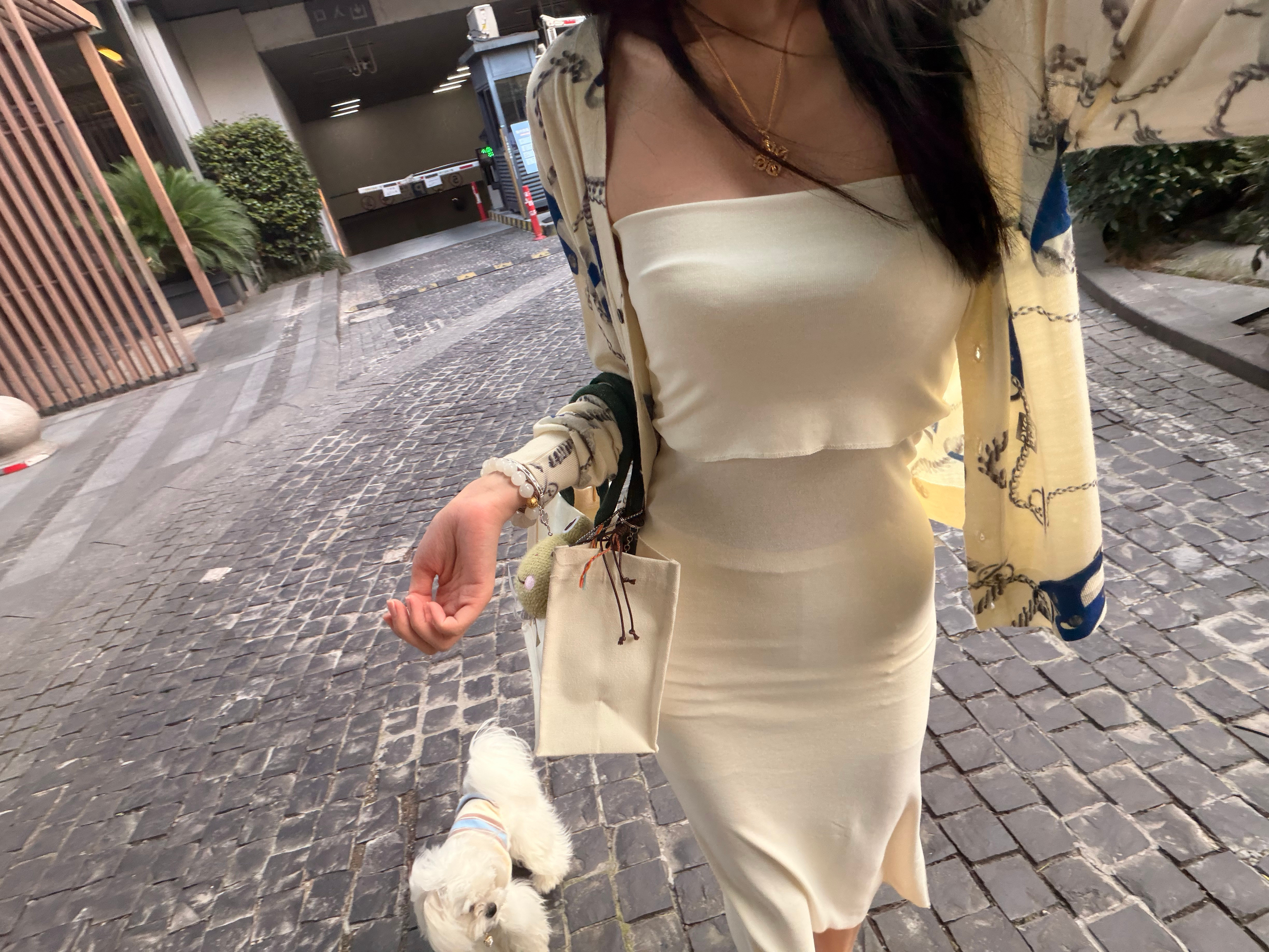 菩提心，玲珑颜，清净骨，慈悲缘•怀菩提心，展玲珑颜，行温柔事，安得自在