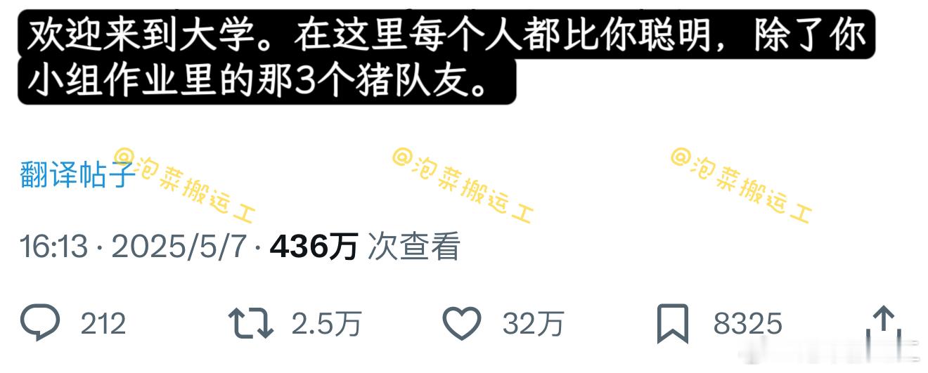 欢迎来到大学，在这里每个人都比你聪明，除了你小组作业里的那3个队友…​​​