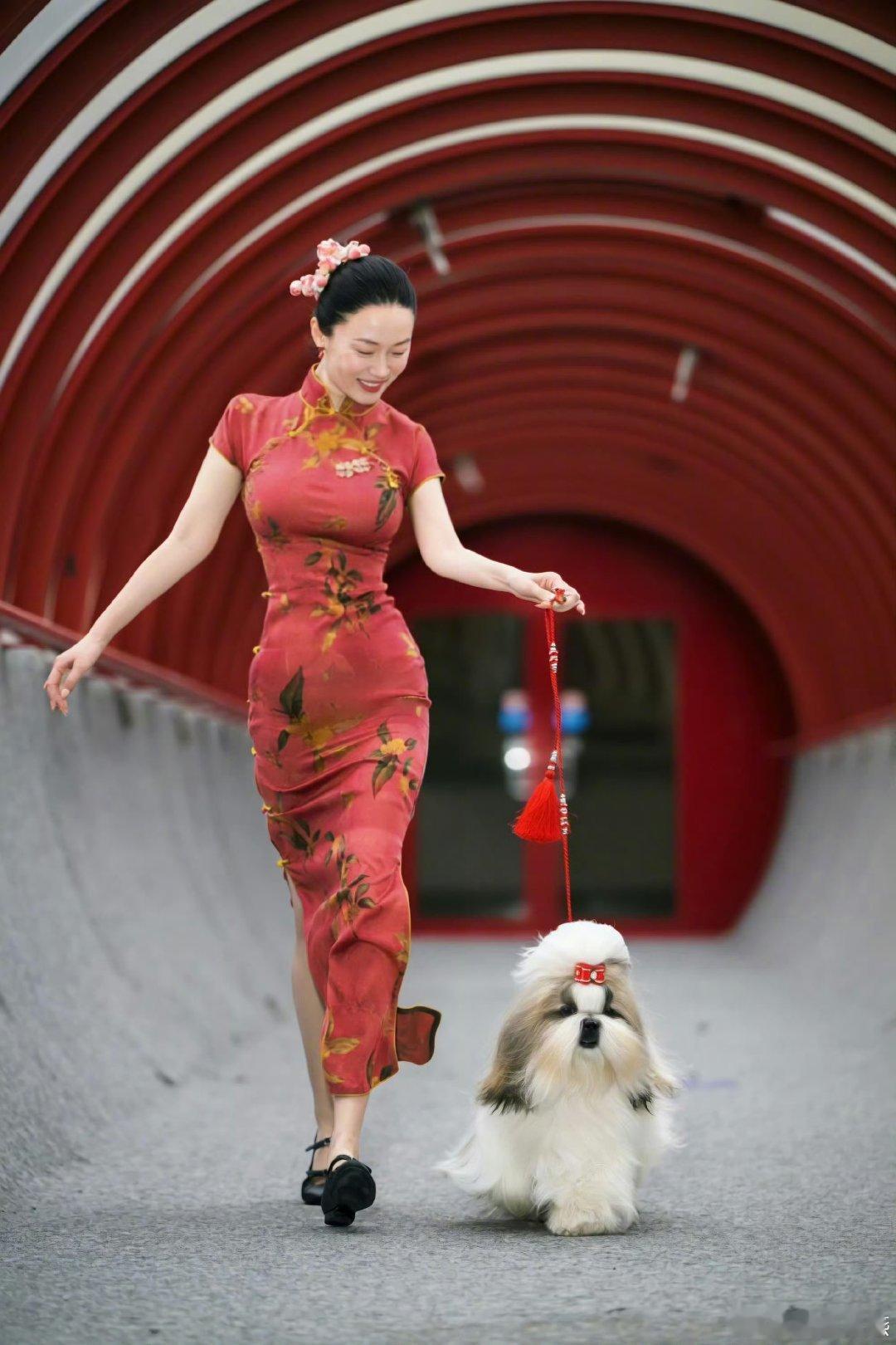 霍思燕最争气的是她自己霍思燕真的很有规划和野心