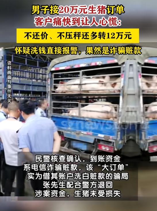 8月6日报道，湖北，一男子接到一笔20万生猪订单，对方不议价、不压秤，给完定金装