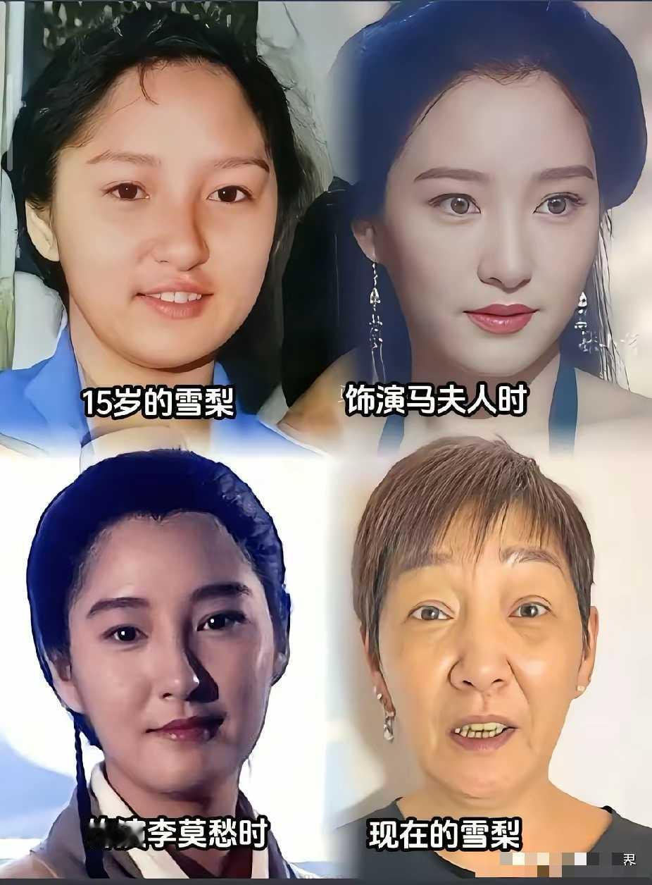马夫人时期真乃巅峰。