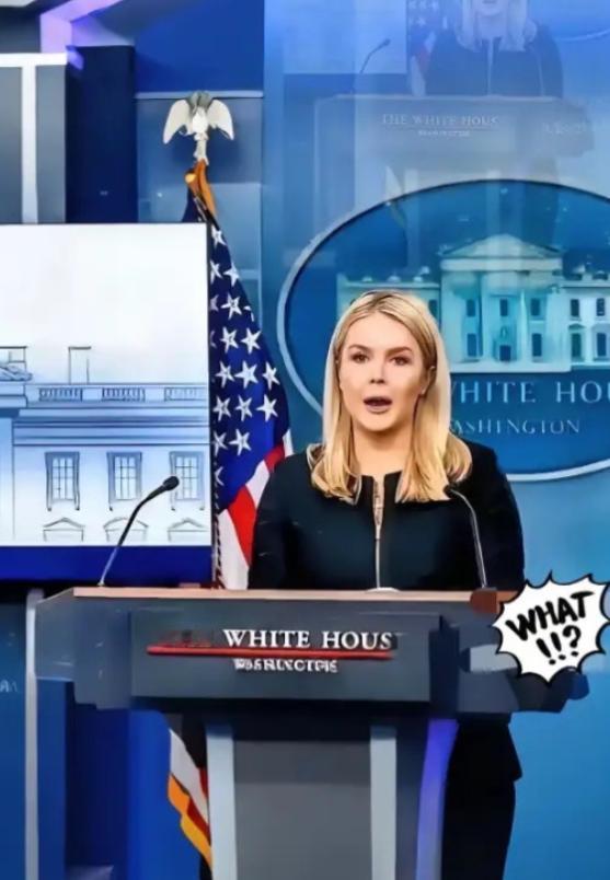 中国再一次拒绝美国！白宫这会满是尴尬，原本盘算着十拿九稳的布局，到头来竟成了