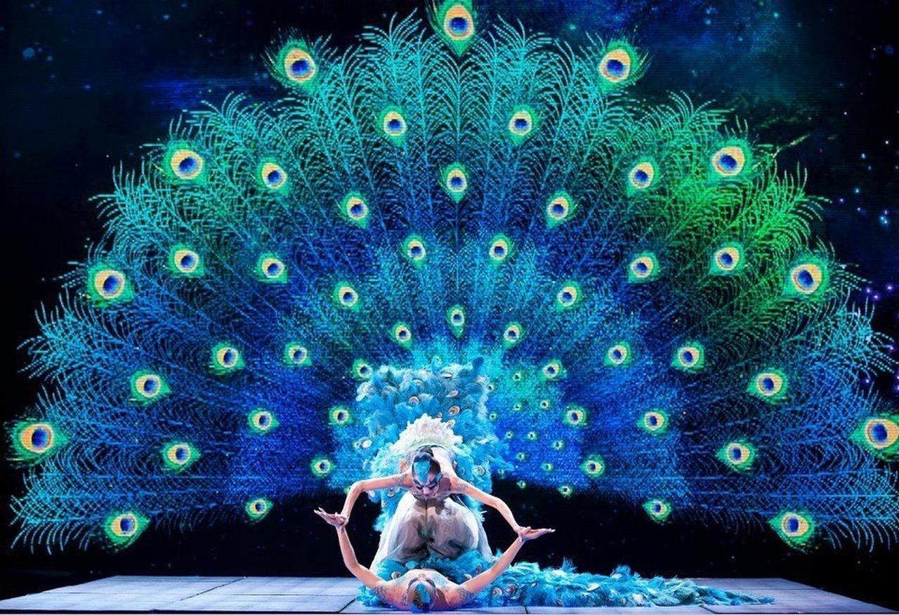 想不到，真想不到！原来这些舞蹈起源是这样的：1、瑜伽：古印度失足女的专用舞蹈