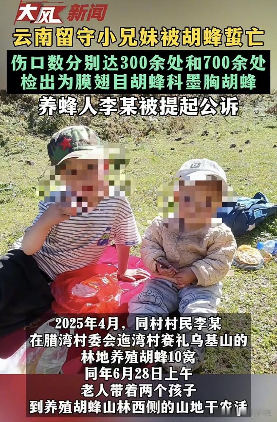 10窝胡蜂酿成两条人命！2025年6月28日，云南牟定县，7岁的润润和2岁的雅