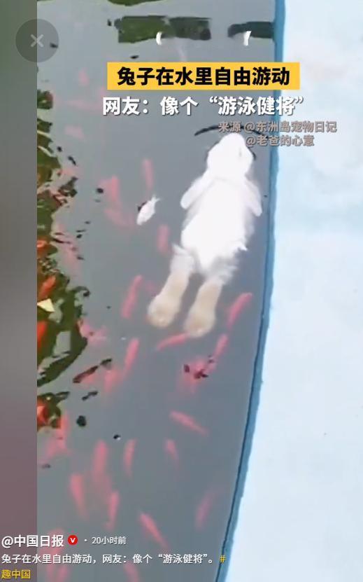 “彻底长见识了！”5月26日中国日报报道，广东一名男子到公园散步，老远就看见水面
