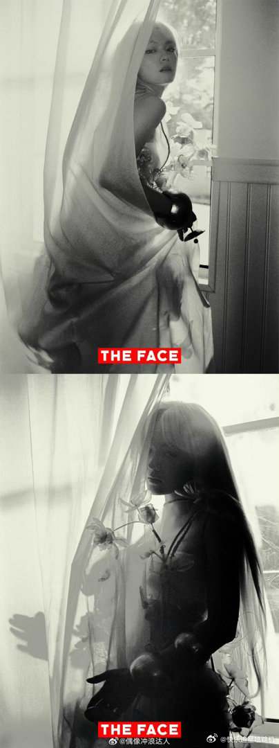 theface封面人物文淇创刊封面重磅亮相，夏永康胶片镜头定格金发文淇，野性温柔