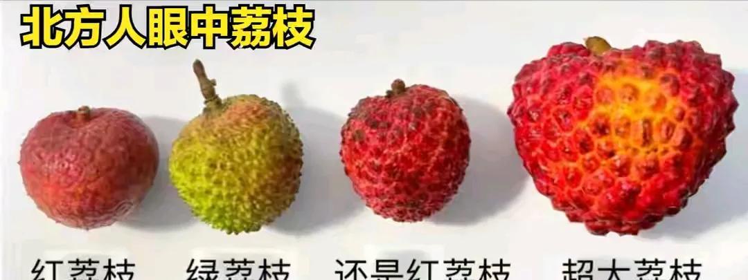据说北方人是这样子区别荔枝品种的，根据个头和颜色来区别。按颜色来分，荔枝只有两
