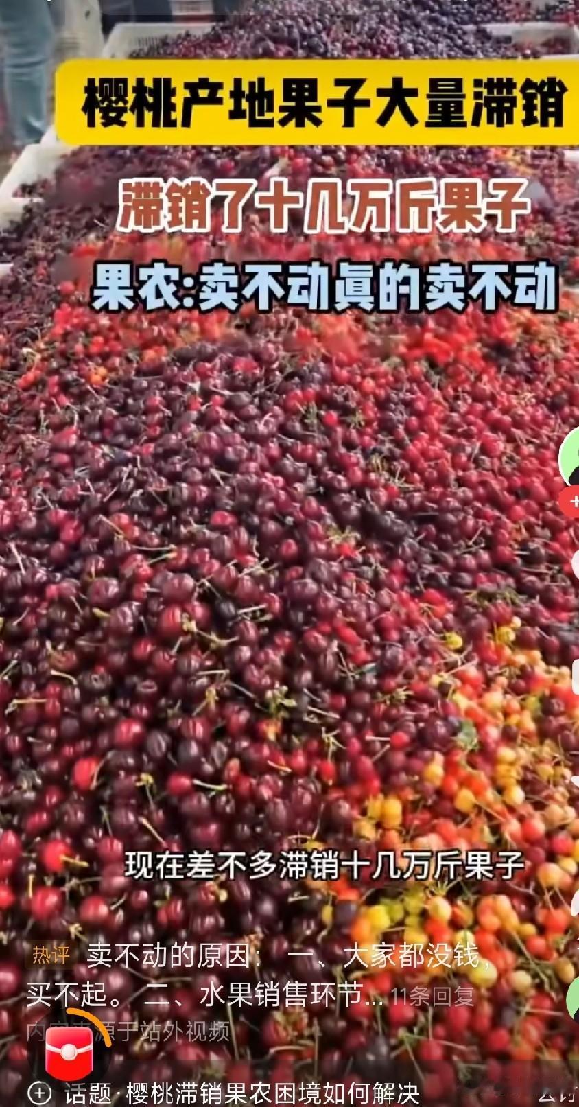 前段时间河南的蒜苔都扔在马路上和路边的沟里了。虽然我买不到便宜的蒜苔，总想着那东