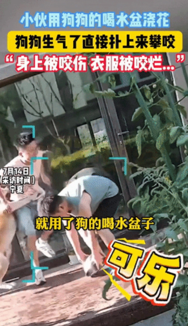 宁夏，一小伙本来只是想给院子里的小花浇点水，顺手拿起狗狗喝水用的盆，结果家里的秋