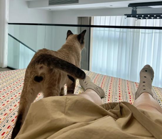 朋友老周昨天蹲在楼道里抽了一下午烟，见我路过，拉着我唉声叹气：“兄弟，千万别买复