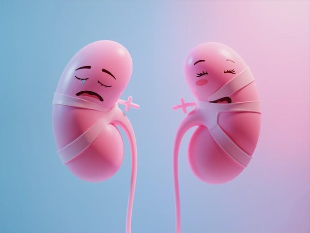 研究发现：最伤肾脏行为，不是憋尿！而是频繁去做这6件事提到伤肾脏的行为，很多