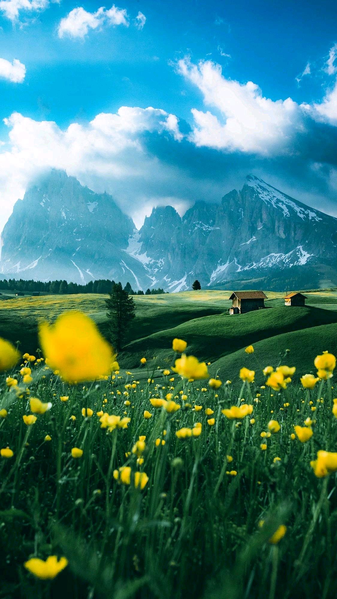 一阵后卫这俩名额，除了亚历山大，其他人真不好说。雷霆啥阵容啊？一帮年轻人，直