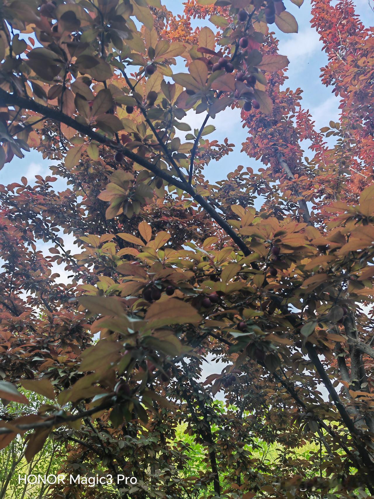 县城高中教师，谁能懂？作为县城高中教师，我觉着每天都是神一样的