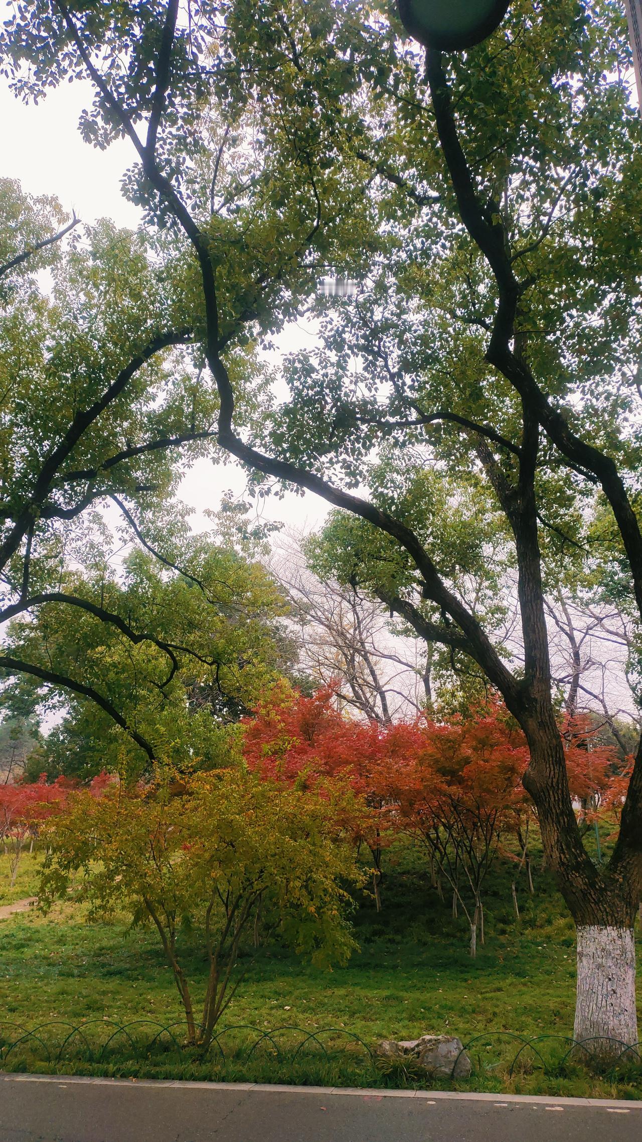 农村的攀比风实在太重了到我们农村老家，随便在哪个村子转一下，就会发现，如今的农