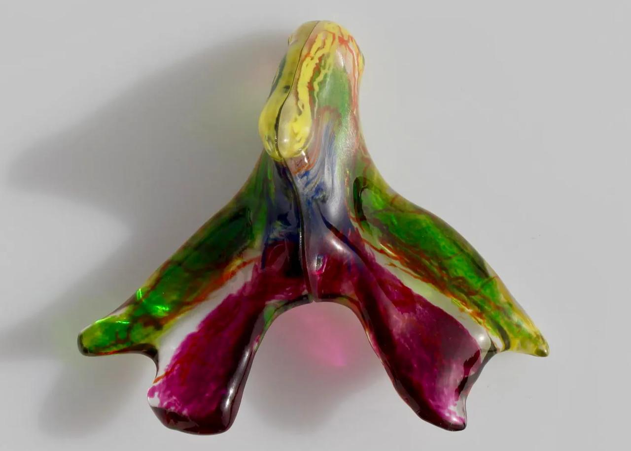 女性生理学方面的大突破——科学家首次绘出阴蒂三维神经图谱。2026年3月，荷兰科