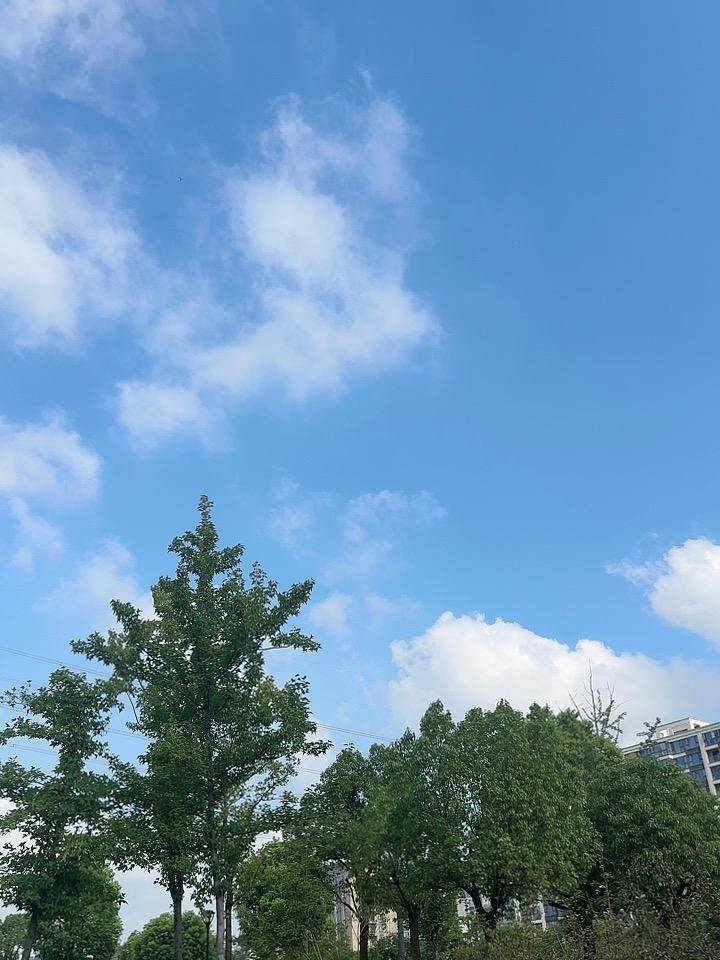 养生最大的骗局，就是总想着靠补品续命🔥很多人活了大半辈子才醒悟。钱舍得花