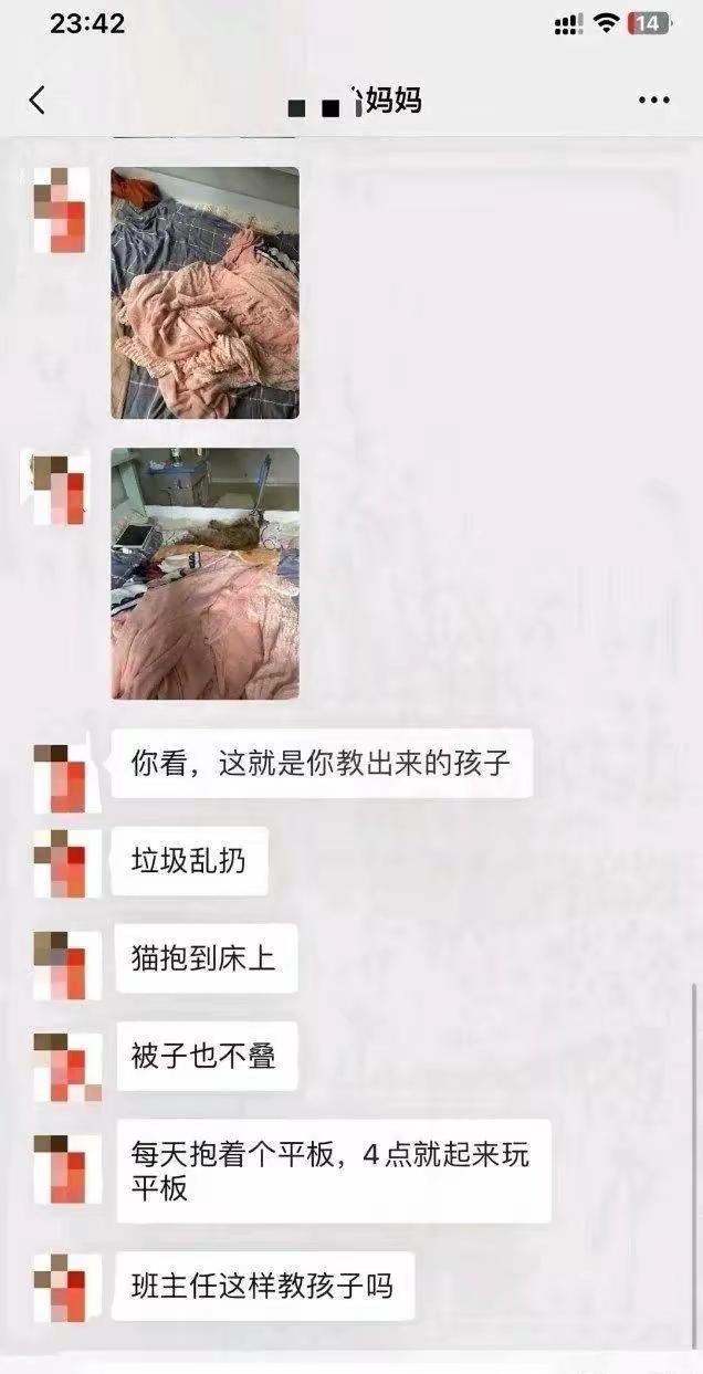 养不教父之过，教不严师之惰。一味责怪老师的人听说过这句话没有？老师教成才，家长教