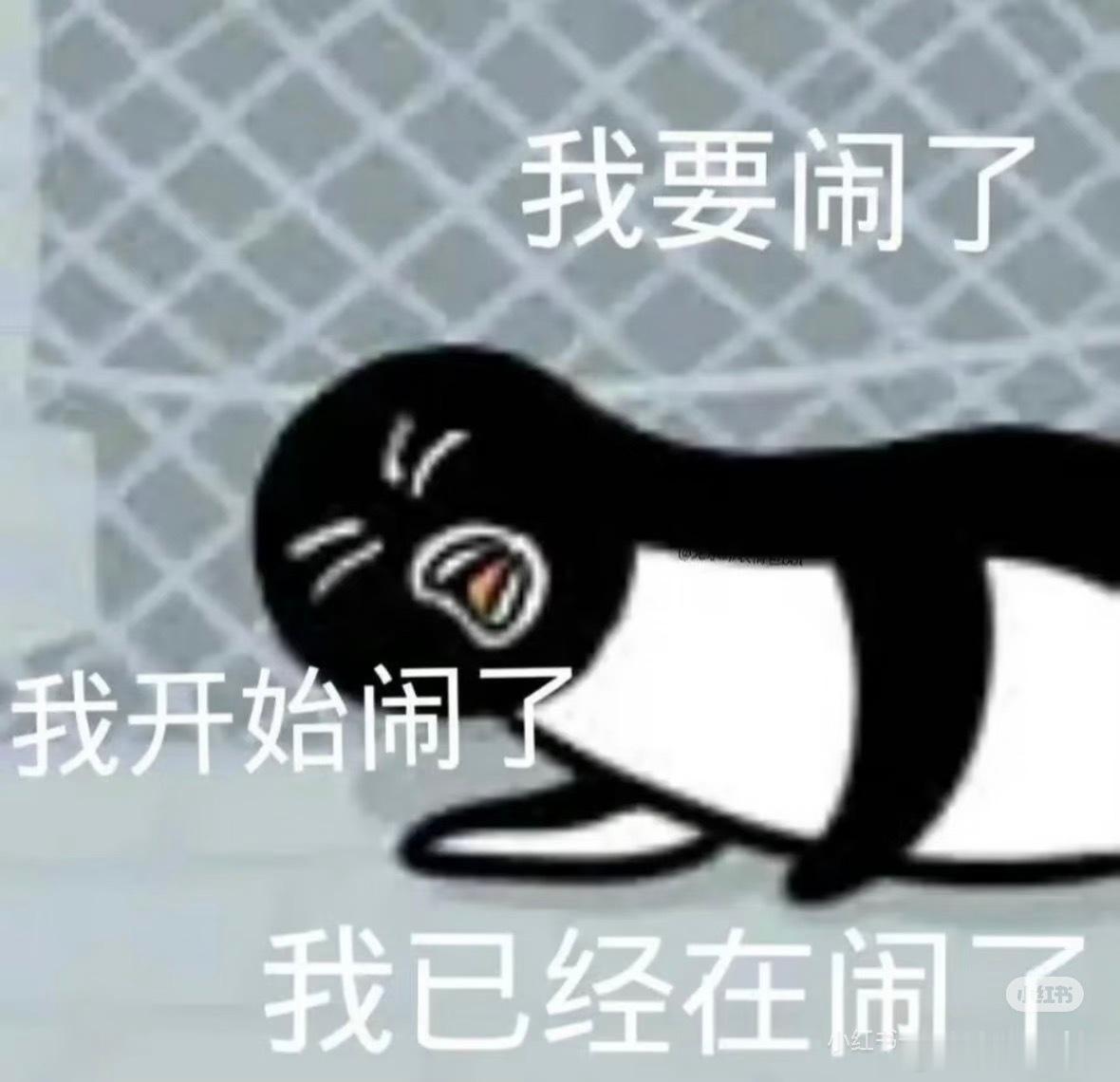 昨天晚上不小心没忍住打了个飞机，起床的时候想着完了完了今天是周五，万一晚上zdd