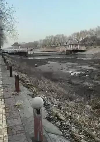 吉林白城一段河道突然穿上了地砖！视频里，河底整片铺满砖石，两侧堤岸也加固得整齐划