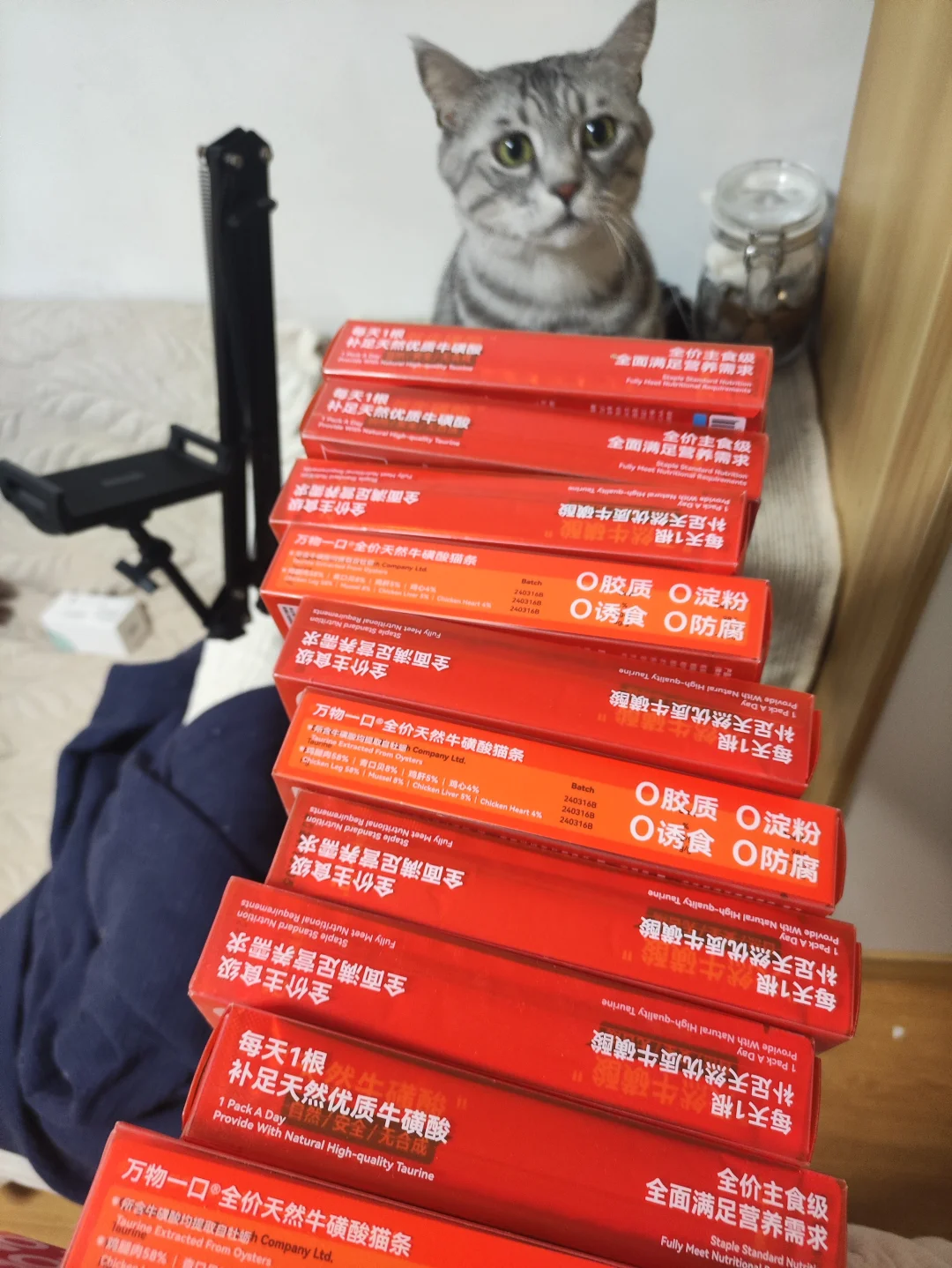 小猫咪都惊呆了