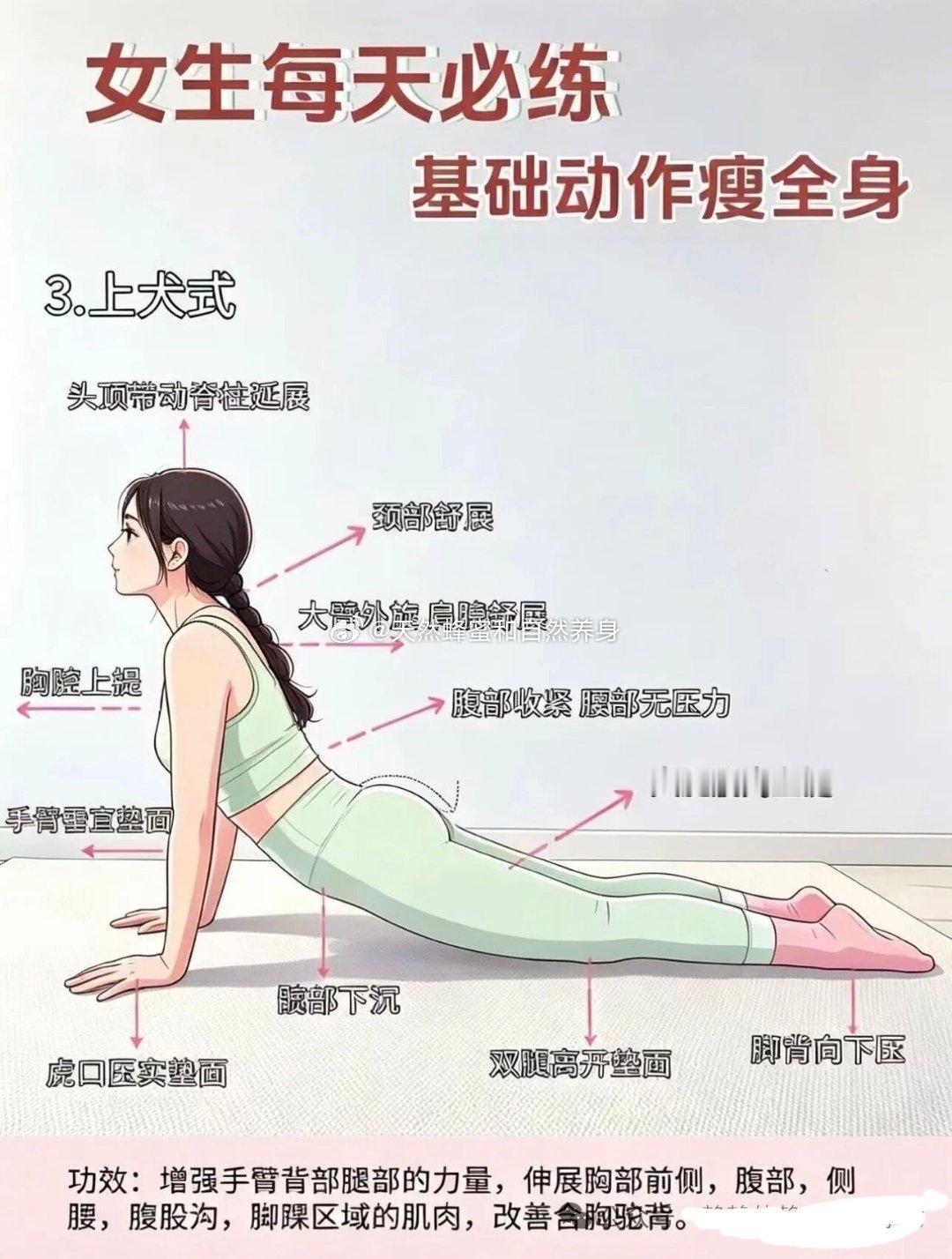 女生每天必练的8个基础瑜伽动作，瘦全身女生每天必练的8个基础瑜伽动作，瘦全身、改善体态！👇1️⃣树